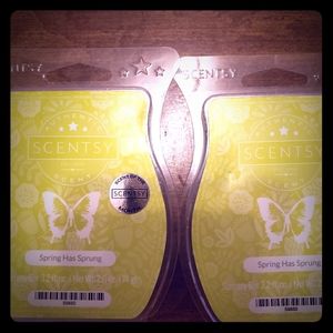 Scentsy 2 pack of wax bars